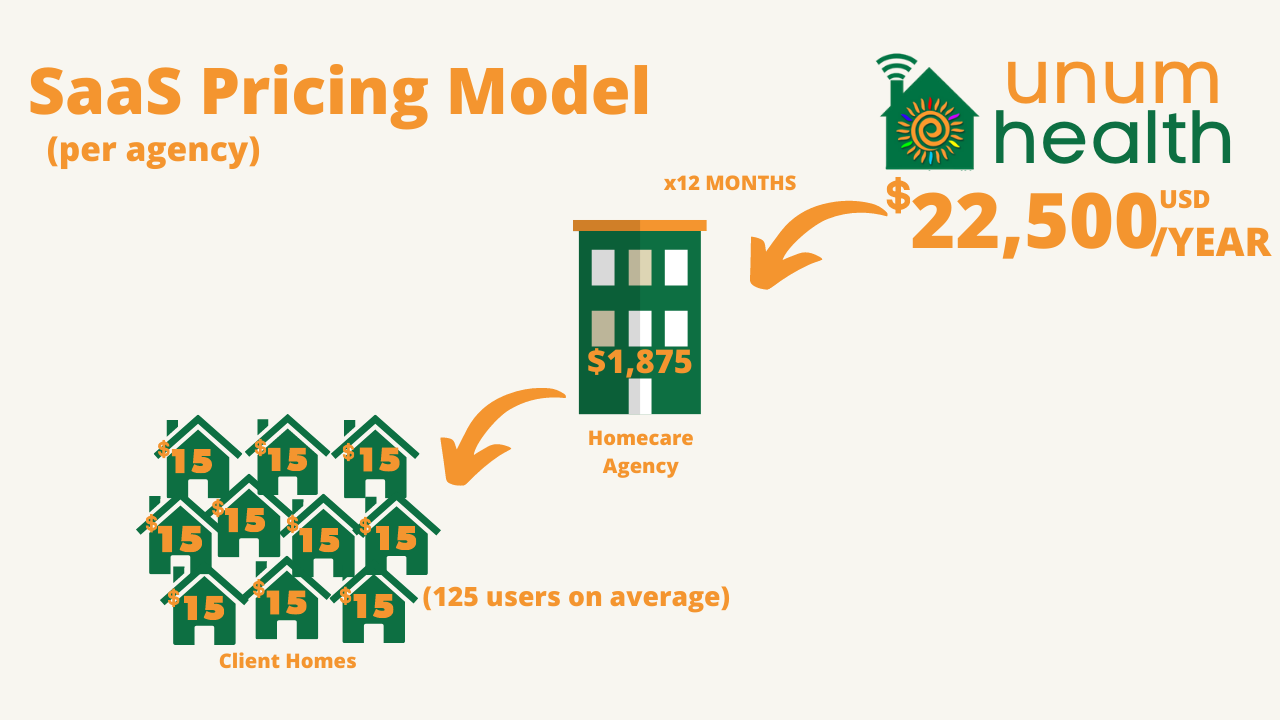 SaaS Pricing Model