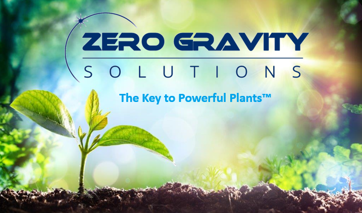 Zero Gravity Solutions